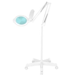 LAMPA LUPA LED MOONLIGHT 8013/6