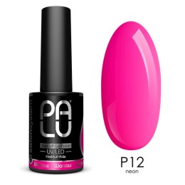 PALU Lakier hybrydowy Warsaw P12-11g.