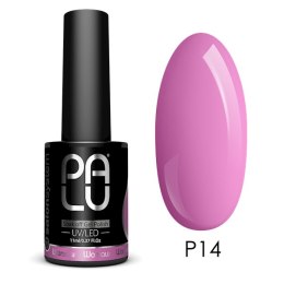 PALU Lakier hybrydowy Warsaw P14-11g.