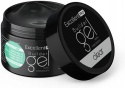 Excellent PRO Builder Thixotropy Clear 50g