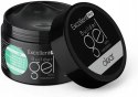 Excellent PRO Builder Gel With Thixotropy Clear 50g